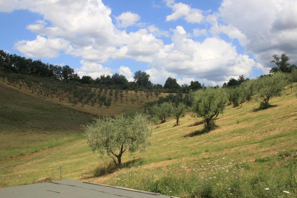 Agriturismo Le Buche Di Viesca Реджелло Экстерьер фото